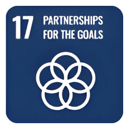 SDG17.png
